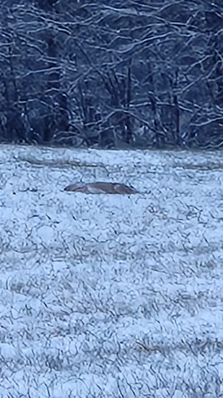 20241129_163735.webp
