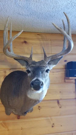 20150227_122258.webp